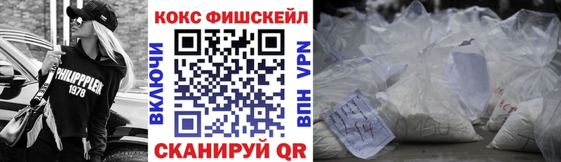 Cocaine Fish Scale  Купить закладки  Курлово 