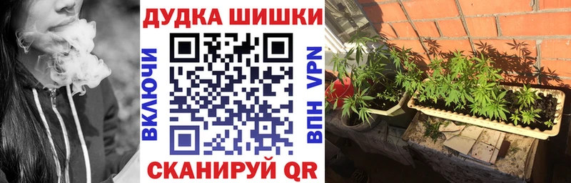 Бошки марихуана MAZAR Курлово